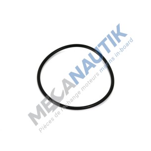 O ring, water exchanger core