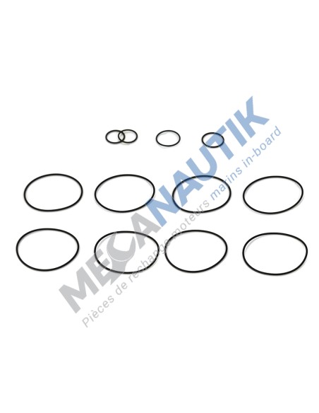 Gasket kit, oil and water exchanger