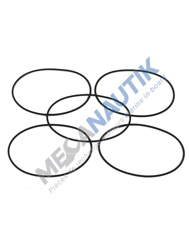 O-ring kit, aftercooler core  5312664 & 3971678