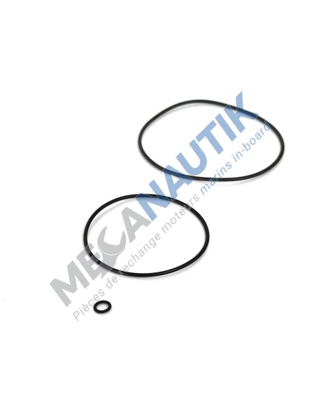 Kit entretien filtre centrifuge