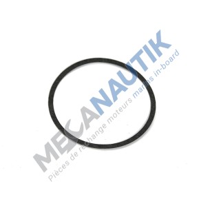 Coolant Pump Seal