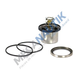 Thermostat with seals