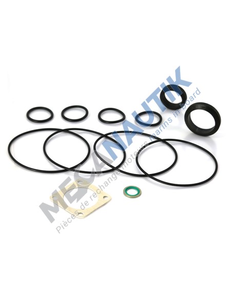 Major gasket kit, water exchanger DS9M