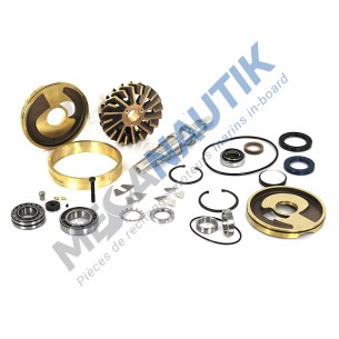 Repair kit, sea water pump