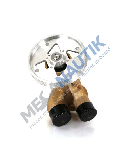 Sea water pump
