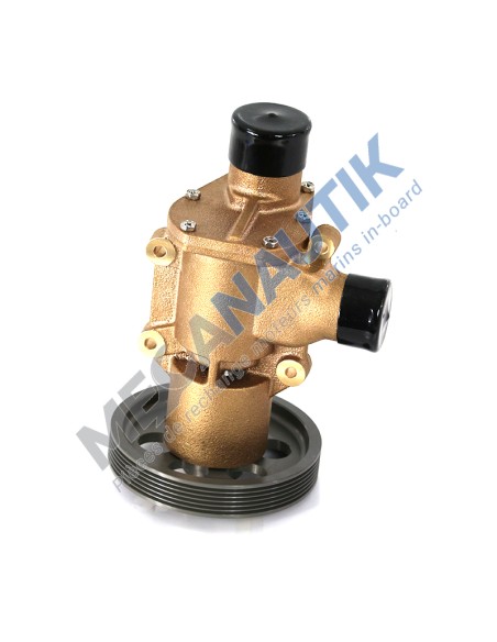 Sea Water Pump