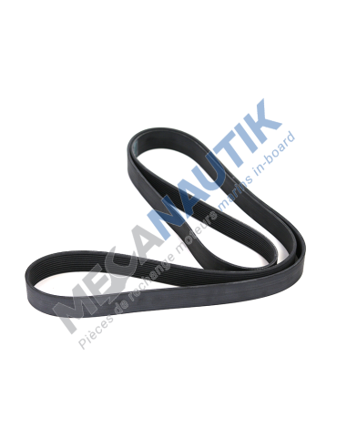 Poly-V belt L=2475 mm  1920231 & 1529222