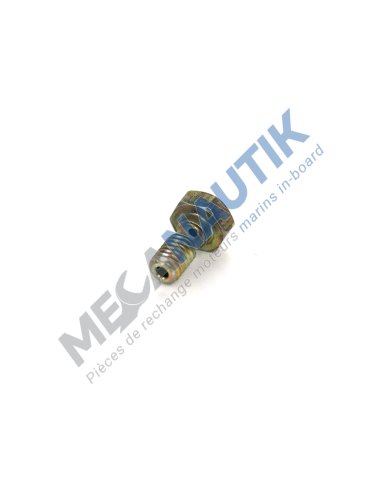 Hollow screw M6  51.98150-0167 & 51981500167 & 51.98150-0080 & 51981500080