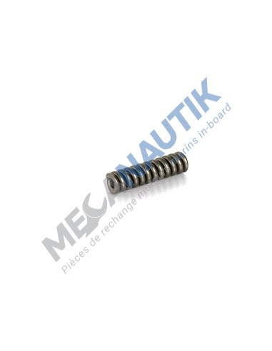 Spring, injector  1336049