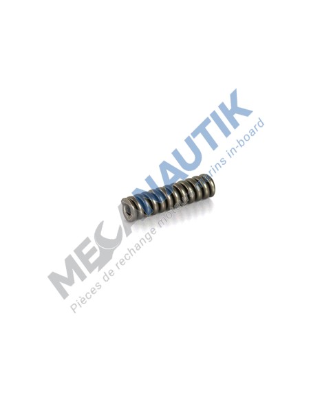 Ressort de porte injecteur