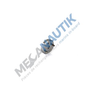 Diffuseur de porte injecteur 2