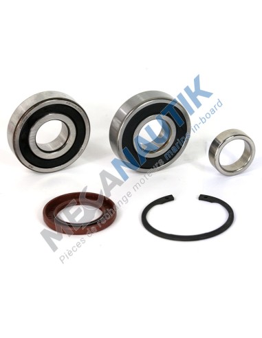 Bearing  15539390R