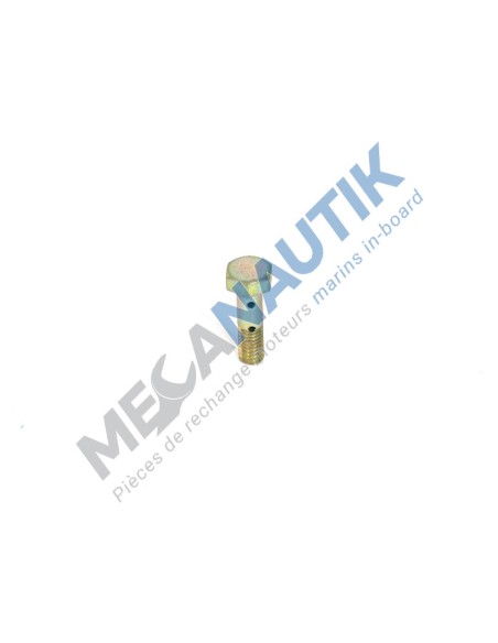 Double hollow screw,  injector fuel leak off