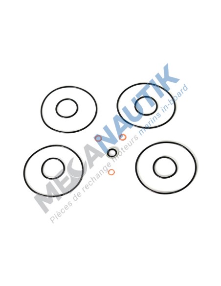 Juego de juntas intercambiador agua dulce, agua de mar