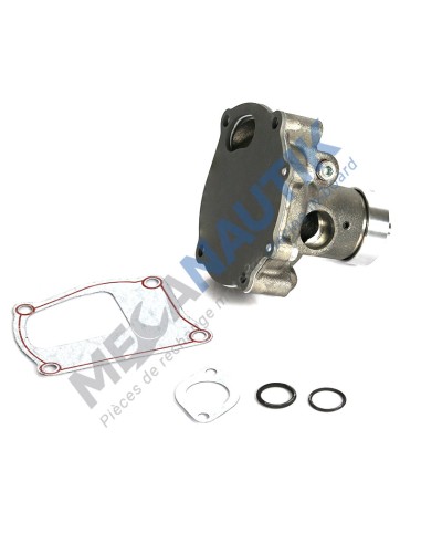 Coolant water pump  99454833 & 504065104