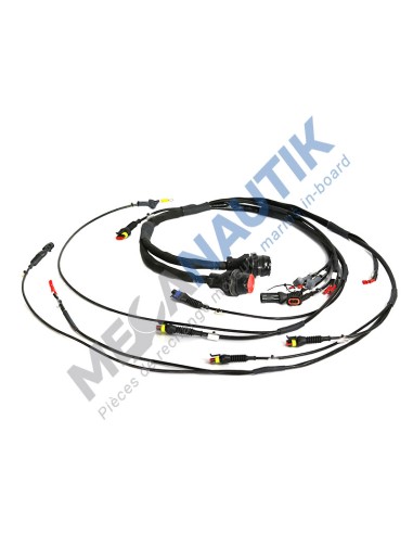 Engine harness  8036996