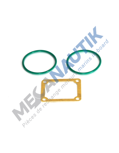 Kit joints conduit d'admission  17297081 & 8031907