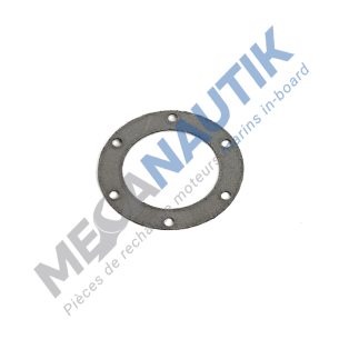 Gasket, dilatation compensator