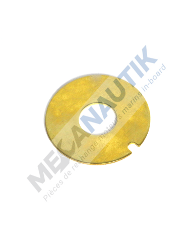 Plaque d'usure  8108235
