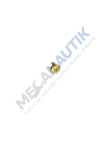 Vis de came d'usure  4914931