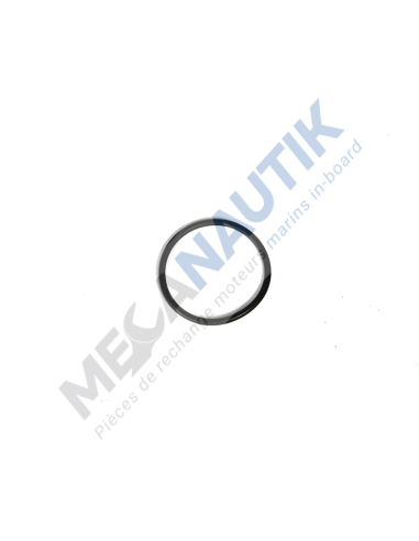 Junta tórica  4847092