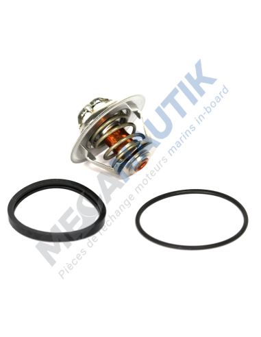 Thermostat  98463637 & 98463638 & 4823211 & 4823210 & 7303615 & 4770246