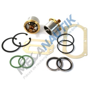 Thermostat Kit