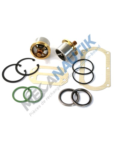 Thermostats kit with seals  16585130Q