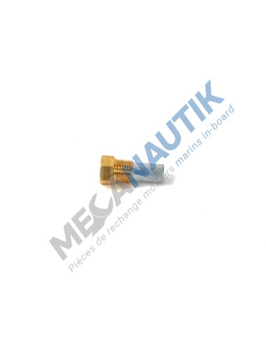 Zinc anode with plug 1/4"  16106550V