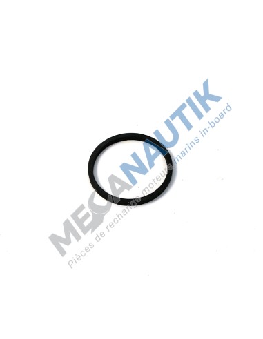 Sealing ring  16106980M