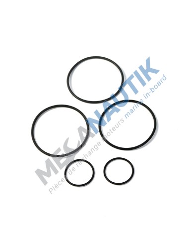 Minor gasket kit, water exchanger  16106520M & 16106660P