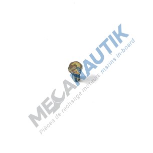 Tornillo hueco sobras de inyector 2