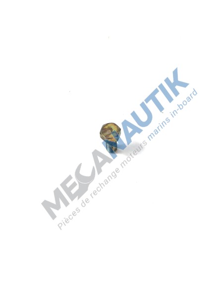 Hollow screw, injector fuel leak off