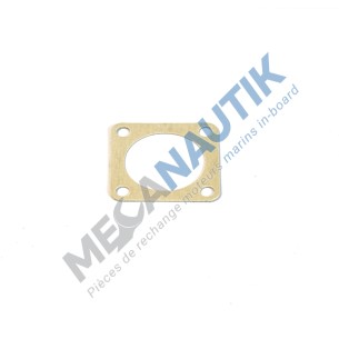 Gasket, sea water