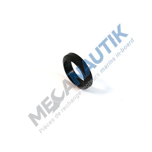 Sealing ring, sea water