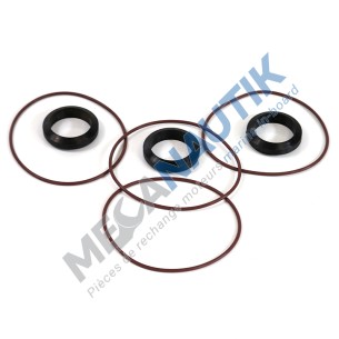 Gasket kit, water exchanger DI9M