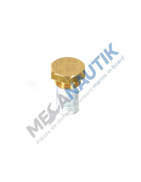 Complete anode