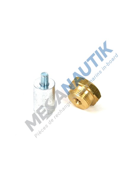 Complete anode