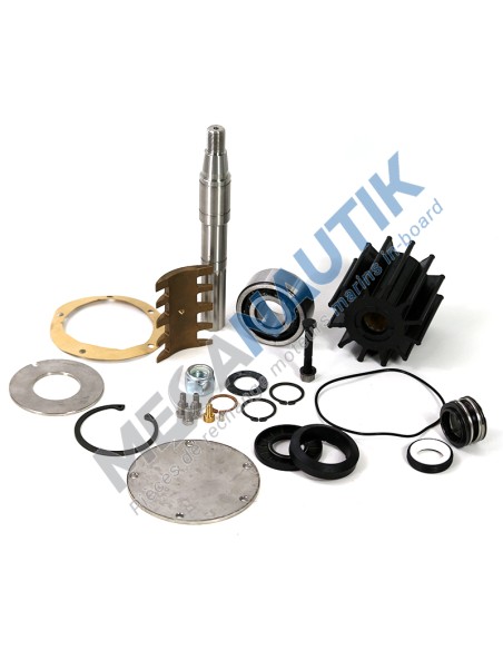 Repair kit, seawater pump