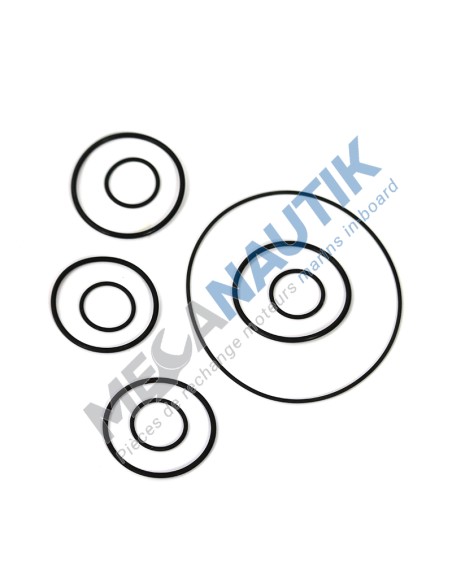 Gasket kit, thermostat housing 6S111