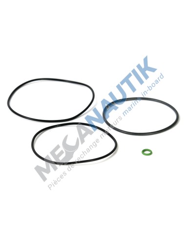 Kit de mantenimiento filtro centrifugo - N°...  1769799 & 1769798 & 372983 & 2153365