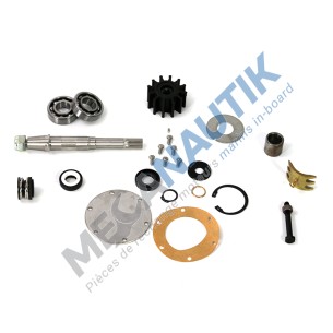 Repair kit, seawater pump
