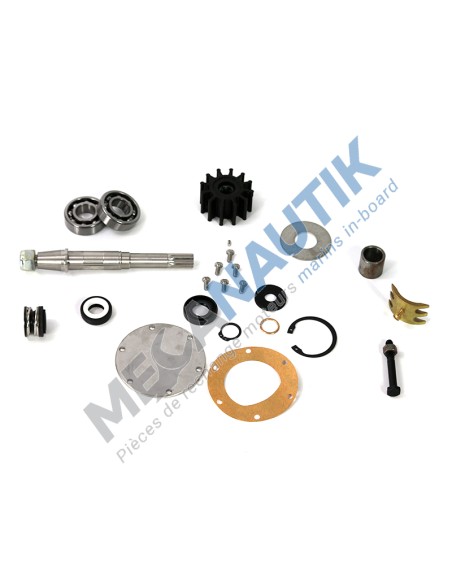 Repair kit, seawater pump