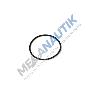 O ring, coolant pump 6W126
