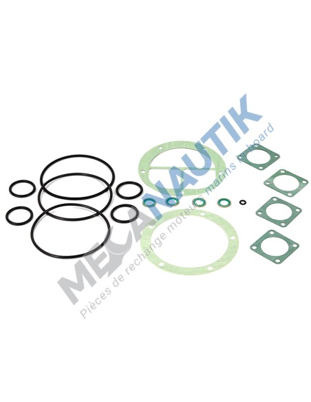 Juego de juntas intercambiador agua dulce / agua de mar D12M