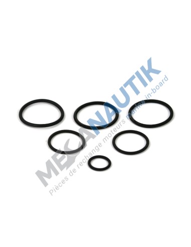 Gasket kit, oil cooler 6W126  16725160X