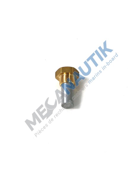Complete anode