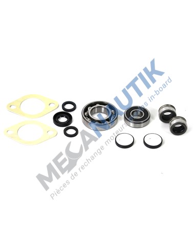 Centrifugal sea water pump seals and bearings kit  15539220G