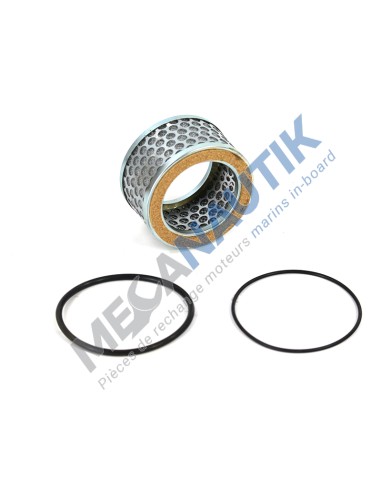 Blow-by filter with seal  13015120V