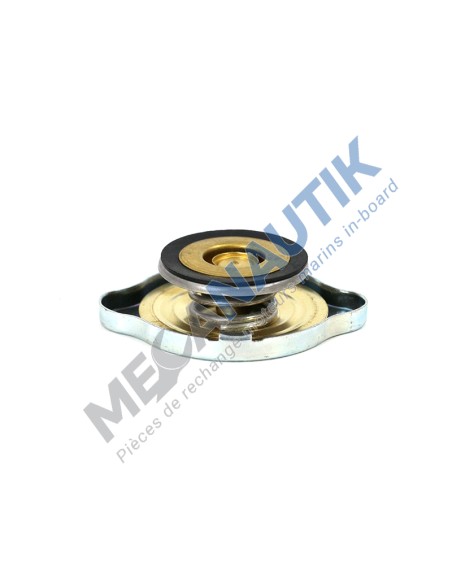 Pressure cap